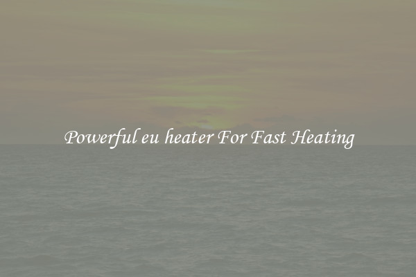 Powerful eu heater For Fast Heating