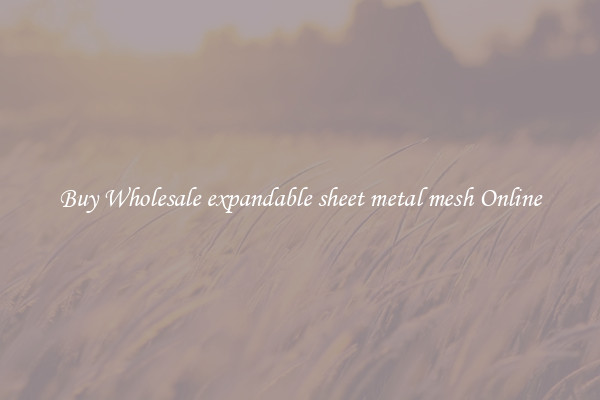 Buy Wholesale expandable sheet metal mesh Online