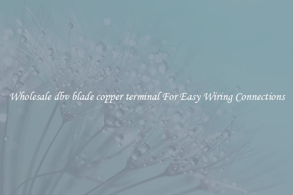 Wholesale dbv blade copper terminal For Easy Wiring Connections