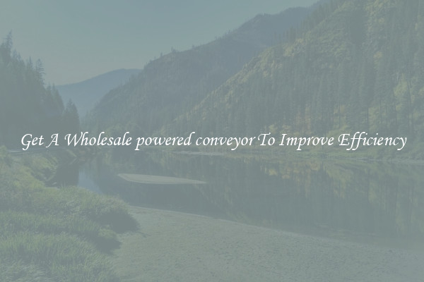 Get A Wholesale powered conveyor To Improve Efficiency