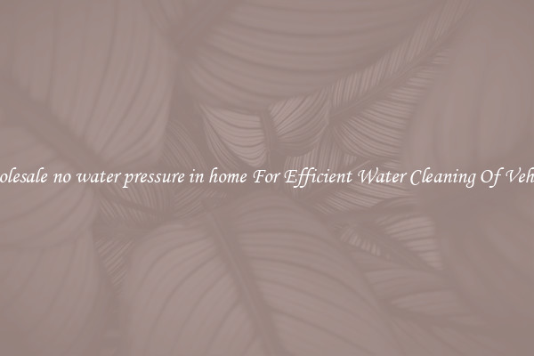 Wholesale no water pressure in home For Efficient Water Cleaning Of Vehicles