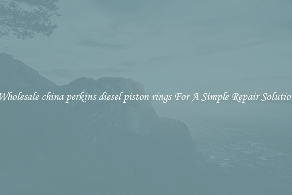 Wholesale china perkins diesel piston rings For A Simple Repair Solution
