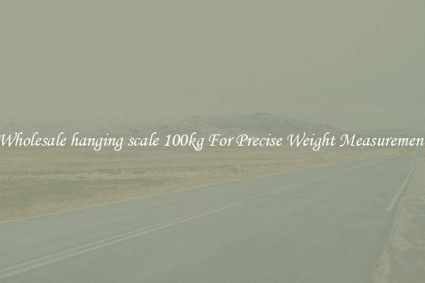 Wholesale hanging scale 100kg For Precise Weight Measurement