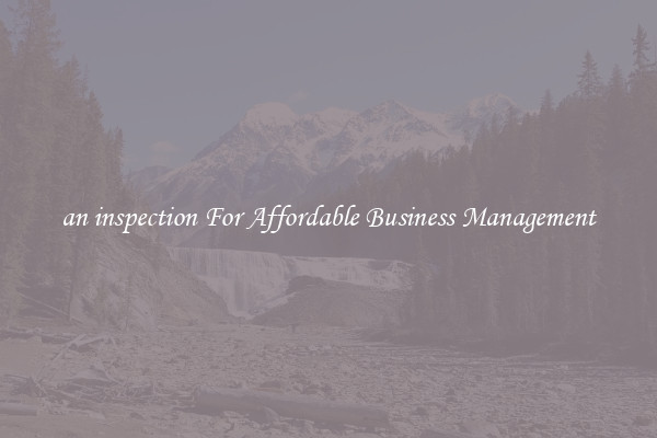 an inspection For Affordable Business Management