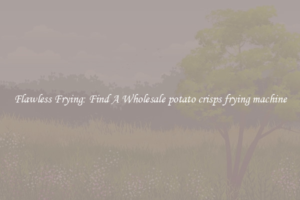 Flawless Frying: Find A Wholesale potato crisps frying machine