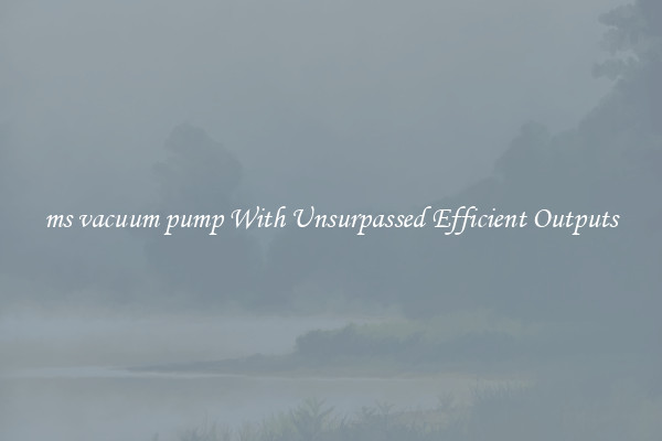 ms vacuum pump With Unsurpassed Efficient Outputs