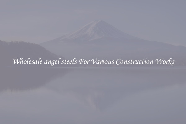 Wholesale angel steels For Various Construction Works