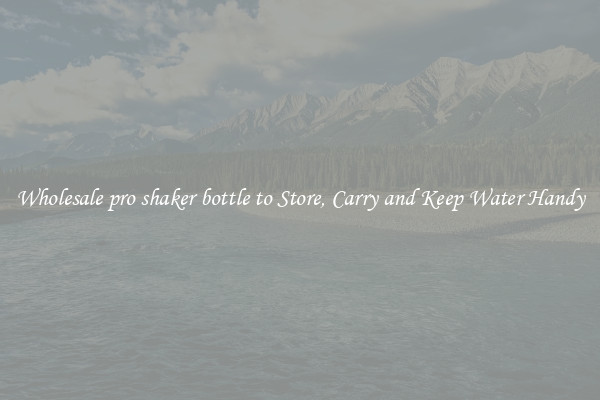 Wholesale pro shaker bottle to Store, Carry and Keep Water Handy