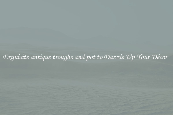 Exquisite antique troughs and pot to Dazzle Up Your Décor  