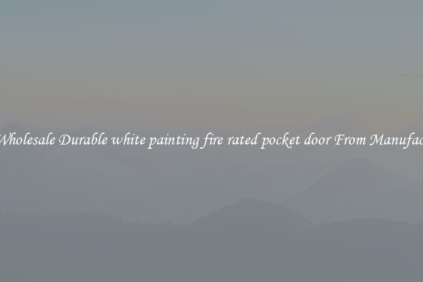 Buy Wholesale Durable white painting fire rated pocket door From Manufacturers