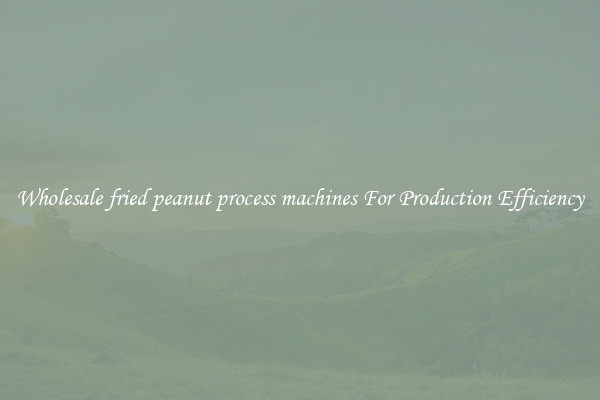 Wholesale fried peanut process machines For Production Efficiency
