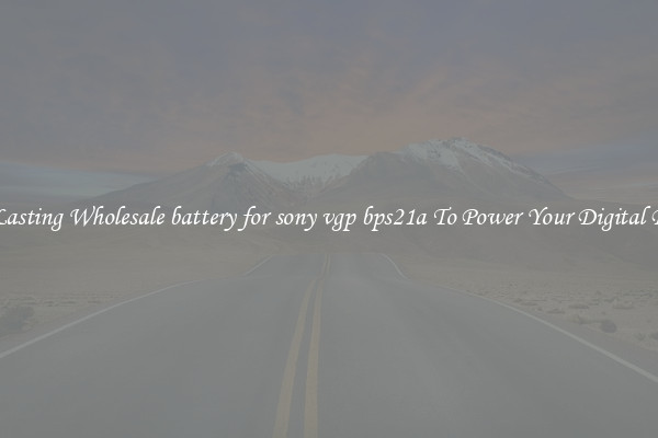 Long Lasting Wholesale battery for sony vgp bps21a To Power Your Digital Devices