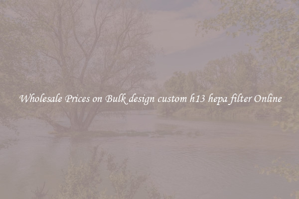 Wholesale Prices on Bulk design custom h13 hepa filter Online