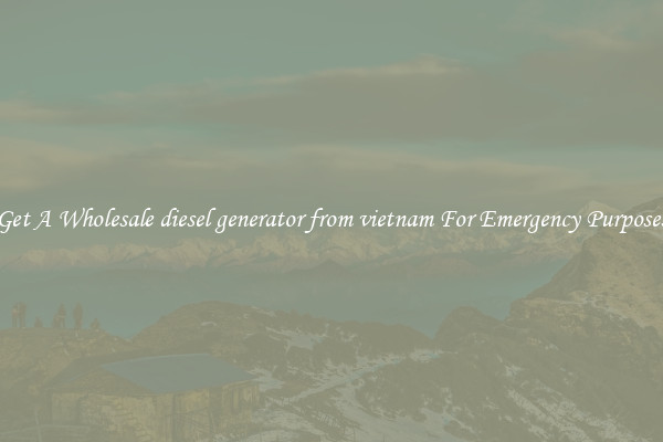 Get A Wholesale diesel generator from vietnam For Emergency Purposes