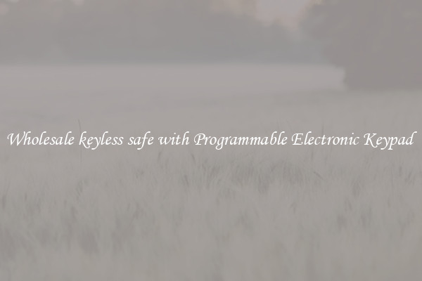 Wholesale keyless safe with Programmable Electronic Keypad 
