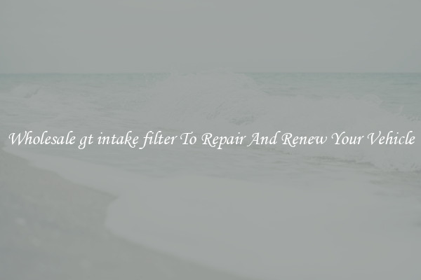 Wholesale gt intake filter To Repair And Renew Your Vehicle