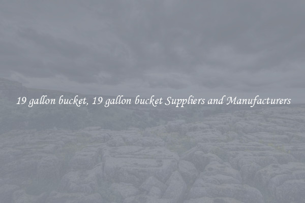 19 gallon bucket, 19 gallon bucket Suppliers and Manufacturers