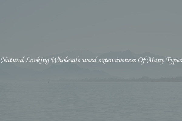 Natural Looking Wholesale weed extensiveness Of Many Types