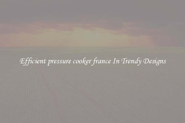 Efficient pressure cooker france In Trendy Designs