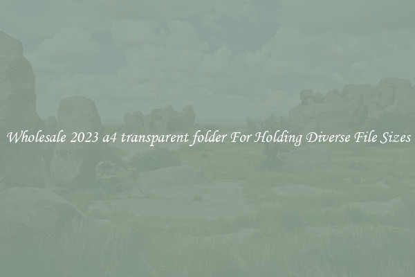 Wholesale 2023 a4 transparent folder For Holding Diverse File Sizes