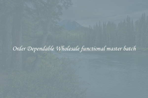 Order Dependable Wholesale functional master batch