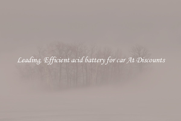 Leading, Efficient acid battery for car At Discounts
