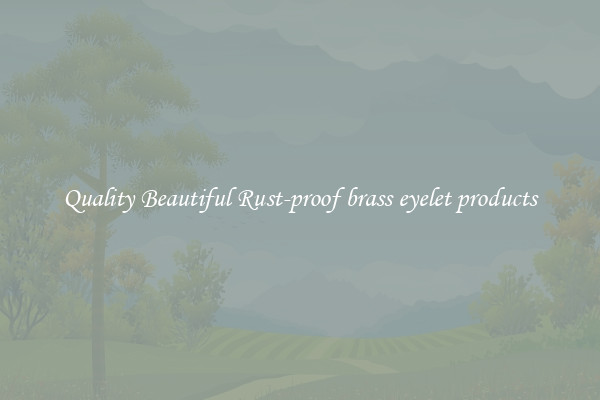 Quality Beautiful Rust-proof brass eyelet products