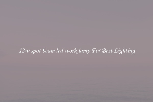 12w spot beam led work lamp For Best Lighting