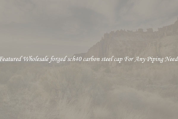 Featured Wholesale forged sch40 carbon steel cap For Any Piping Needs