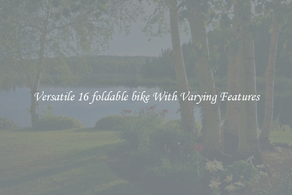 Versatile 16 foldable bike With Varying Features