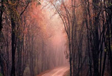 开眼角双眼皮手术一般需要多少钱,开眼角做双眼皮价格