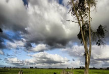 两个双眼皮的父母会生出单眼皮吗,两个双眼皮的父母会生出单眼皮吗视频